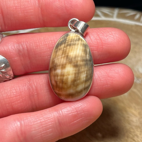 Seashell 925 Sterling Silver Pendant - Picture 11 of 13